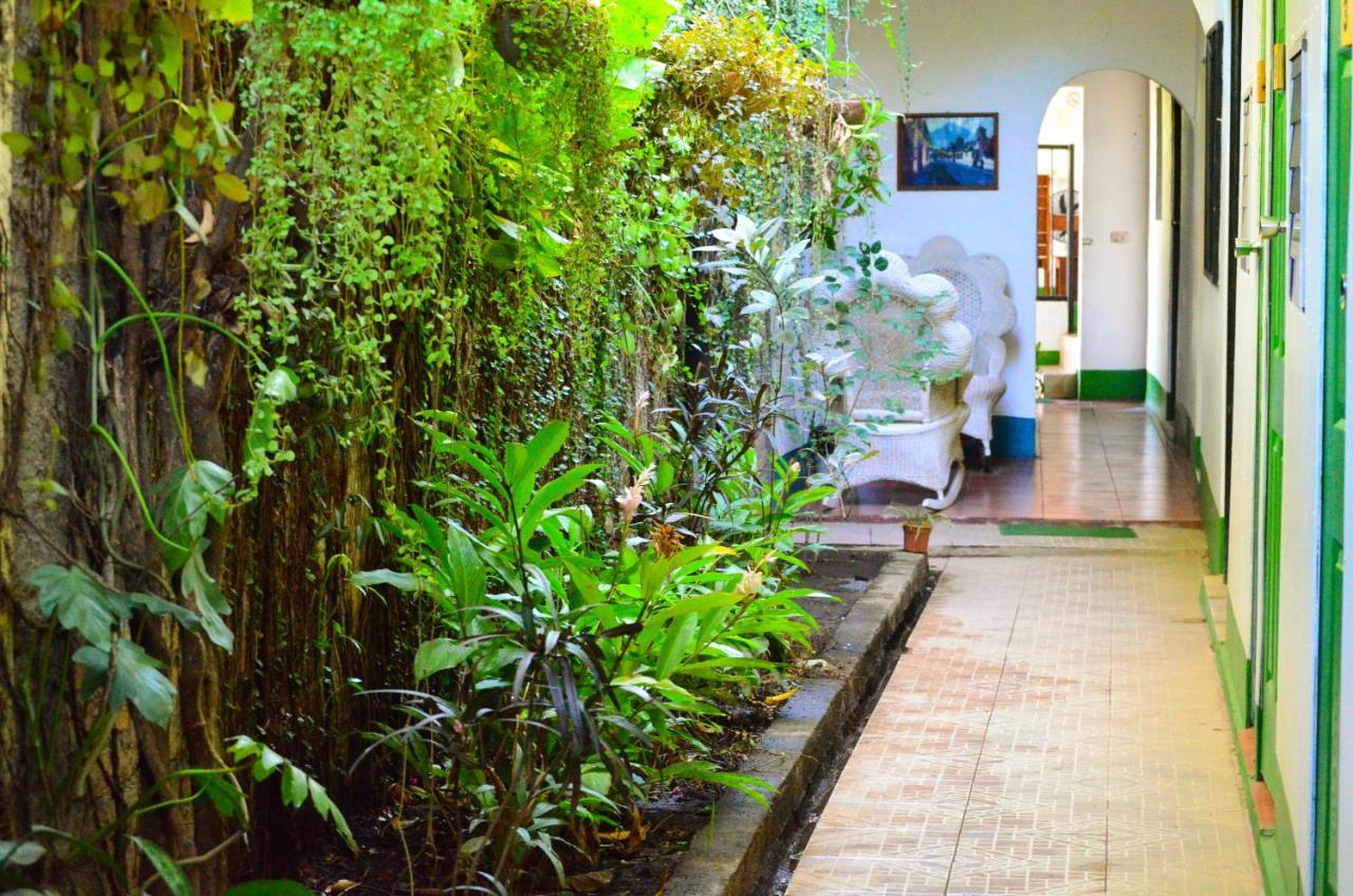 Hostal El Rio León Zewnętrze zdjęcie