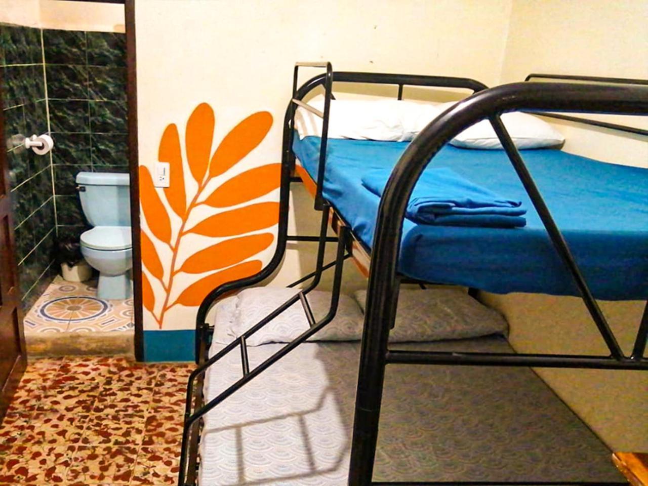 Hostal El Rio León Zewnętrze zdjęcie