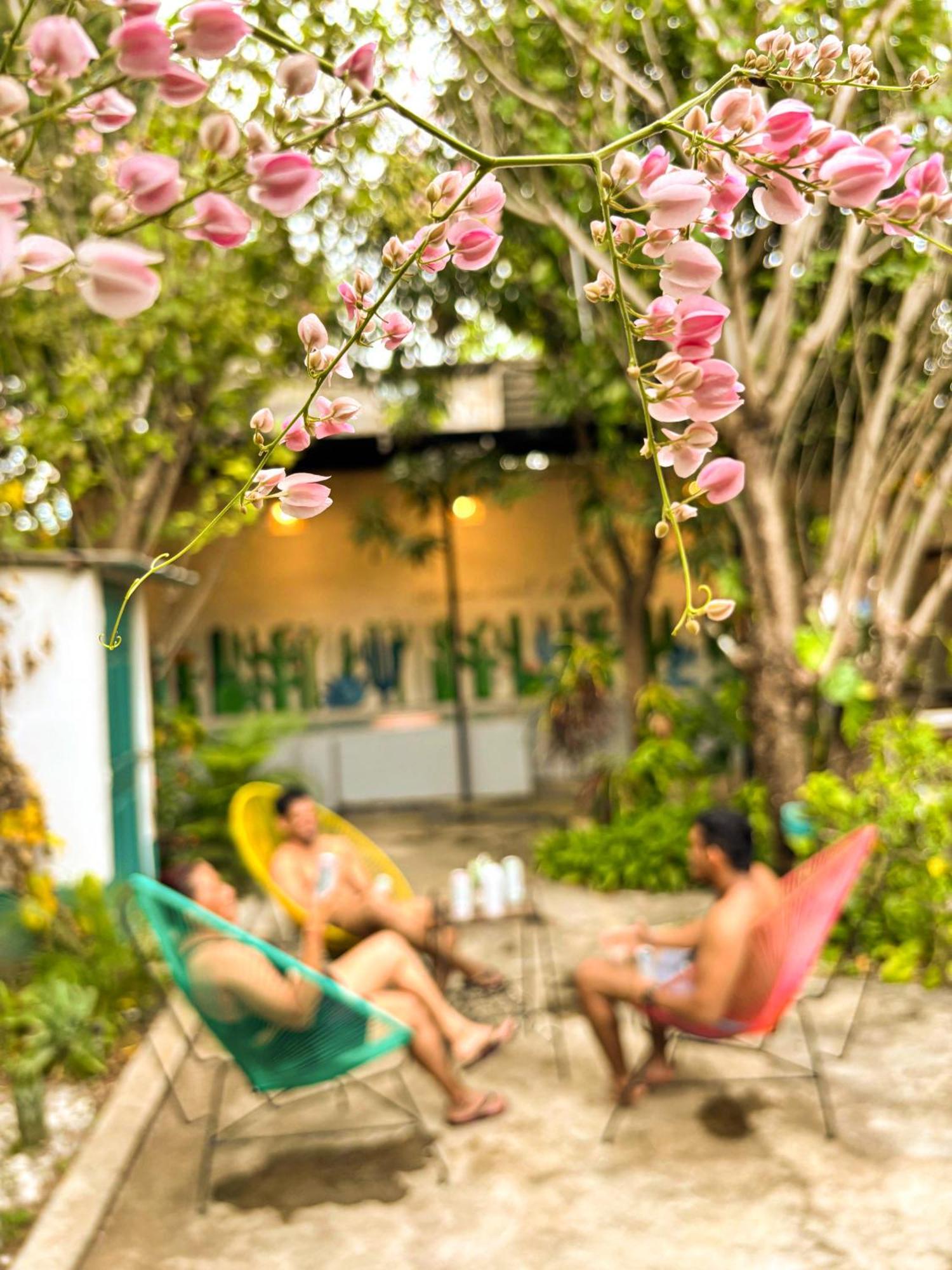 Hostal El Rio León Zewnętrze zdjęcie